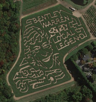 The Best Corn Mazes In Massachusetts