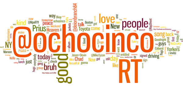 Ochocinco Word Cloud