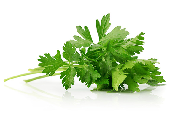parsley for better breath
