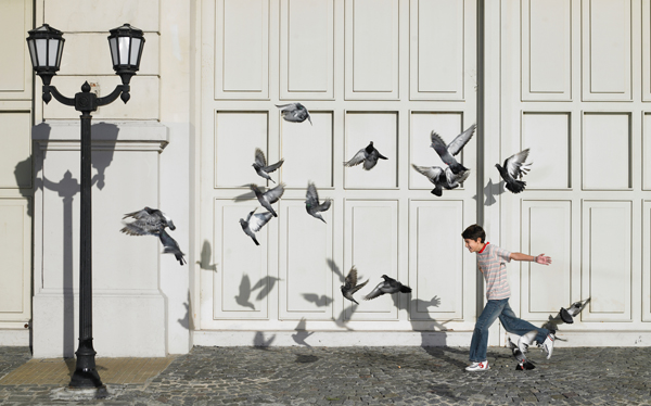 boy chasing pigeons