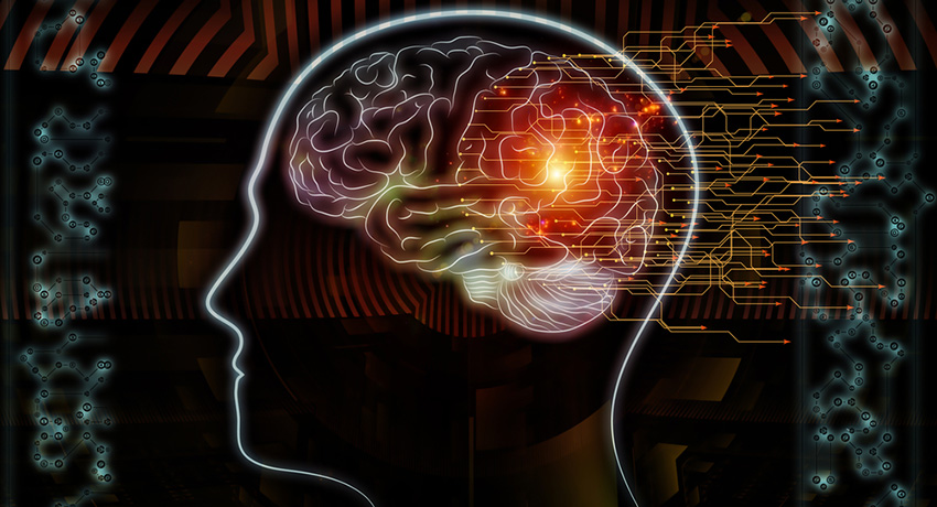 Brain image via Shutterstock