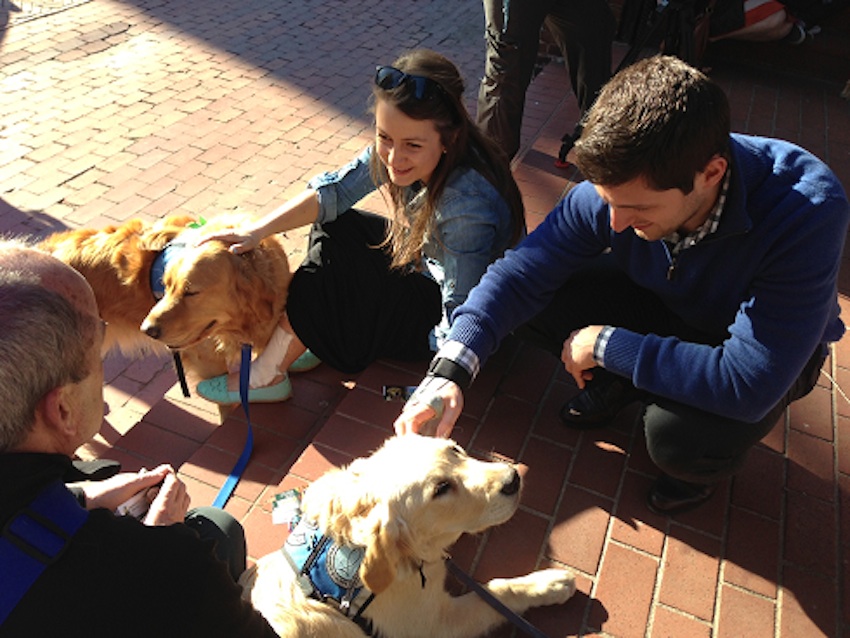 Photo via Lutheran Church Charities K-9 Comfort Dogs. 