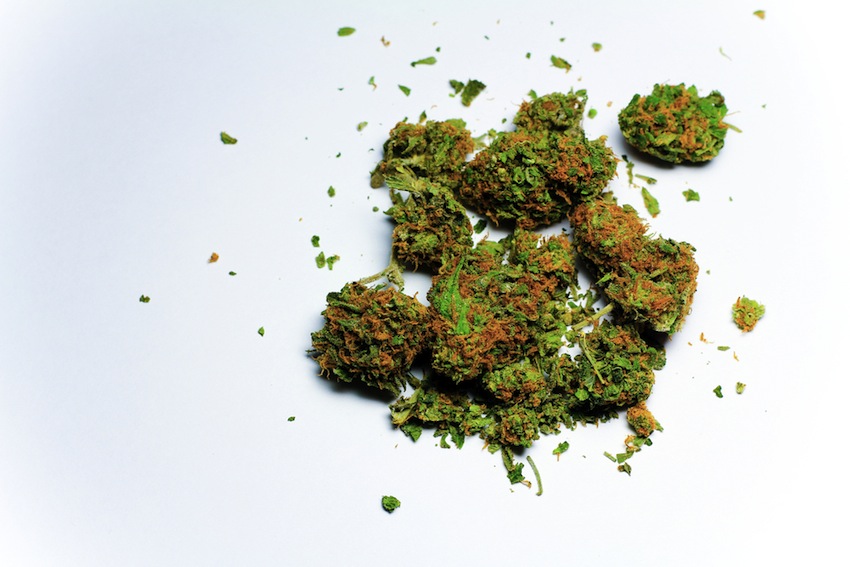 Marijuana photo via shutterstock.com