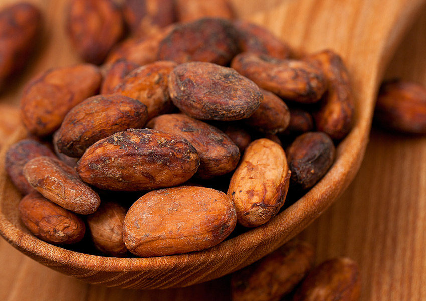 Cocoa beans photo via shutterstock