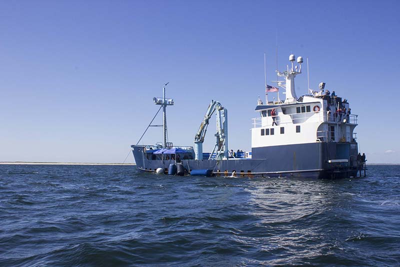 The OCEARCH at sea/Photo by Olga Khvan