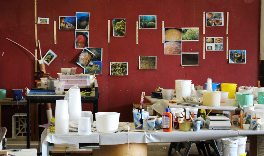 The wall in Brady's studio is covered with images of the corals he is looking to create. (Photo by Margaret Burdge)