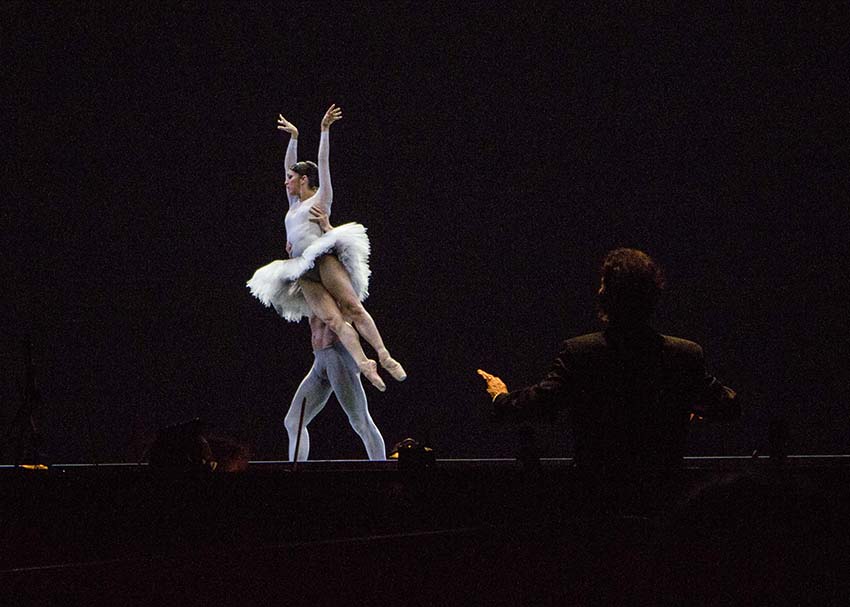 boston ballet night of stars 2013 photo review