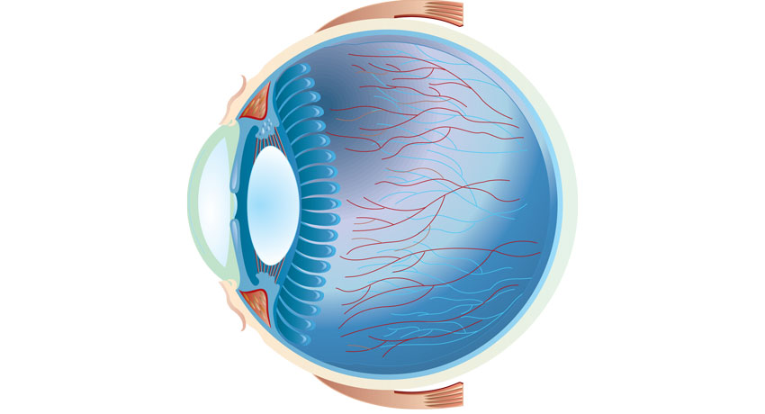 Eye image via shutterstock
