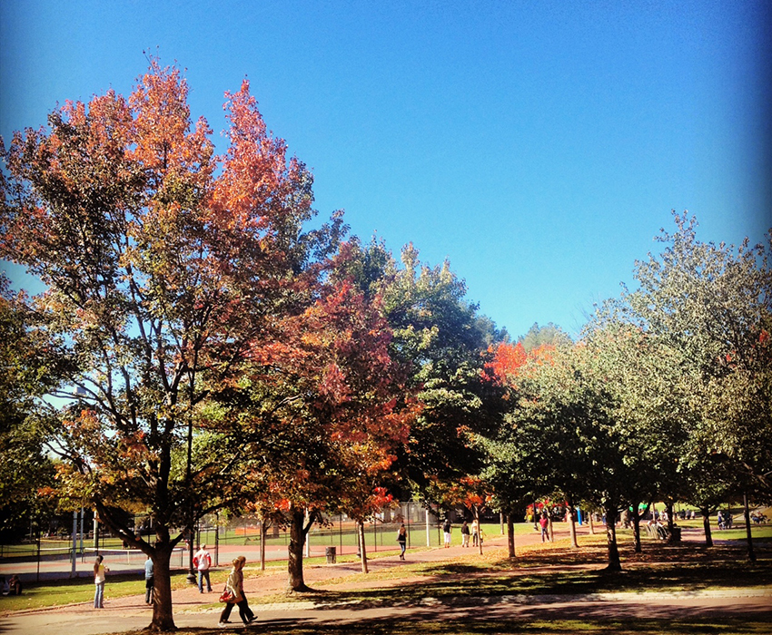 The beginning of fall on Boston Common. Photo by Melissa Malamut