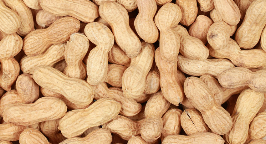 Peanut image via shutterstock