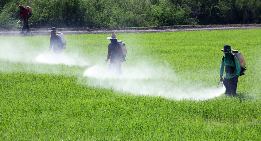 Pesticides image via shutterstock