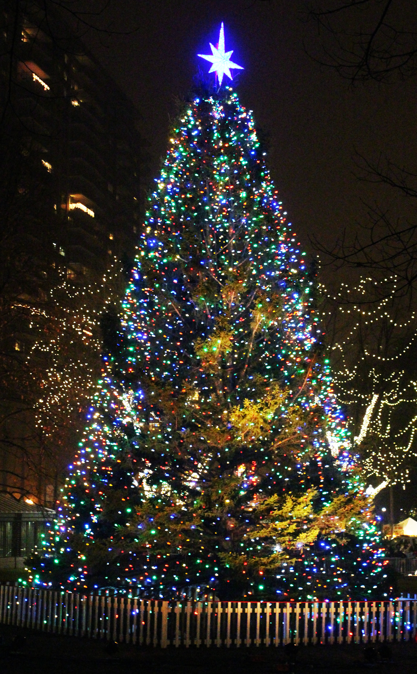 boston common tree lighting 2013