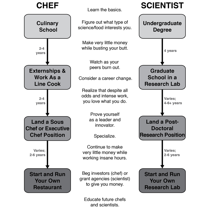 chef vs scientist
