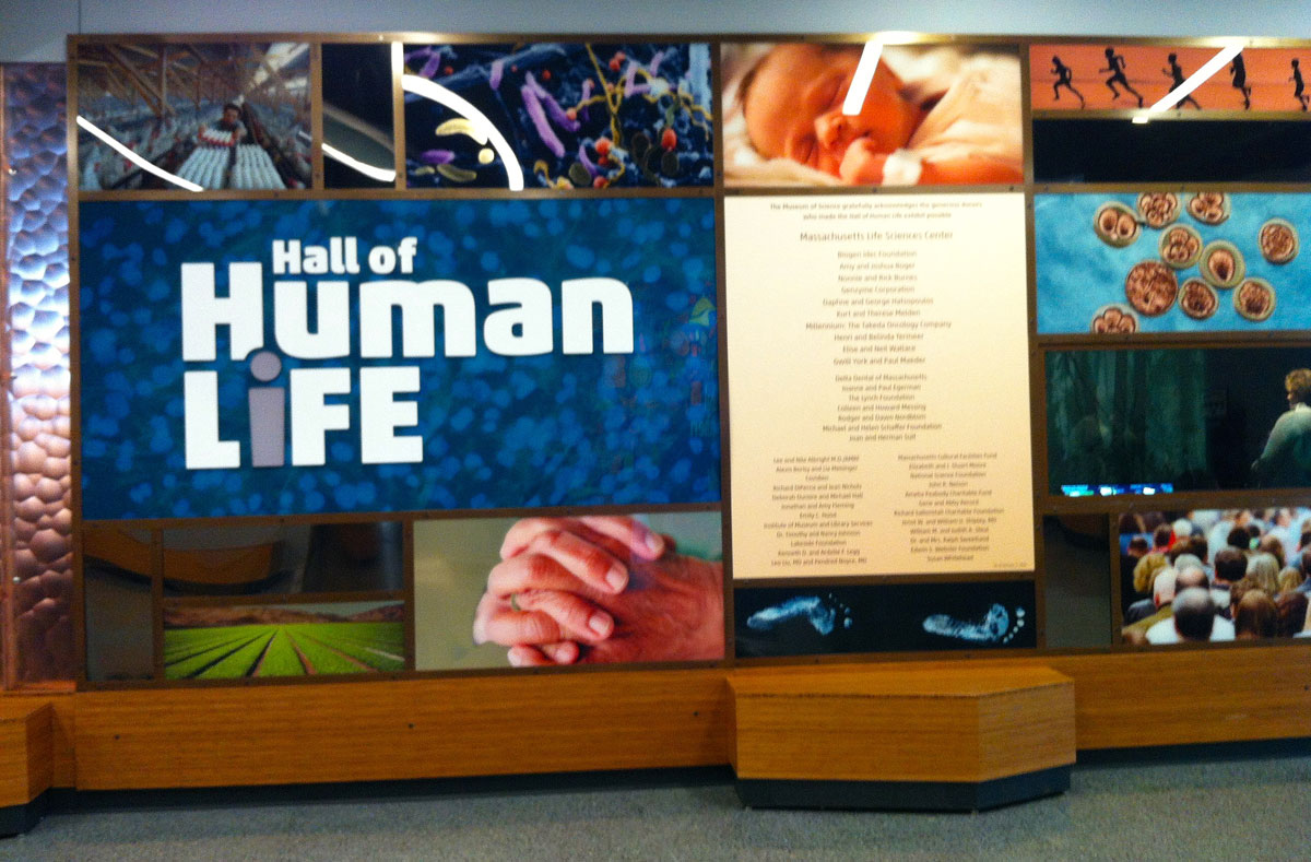 Hall of Human Life entrance, photos by Stephanie Cohn 