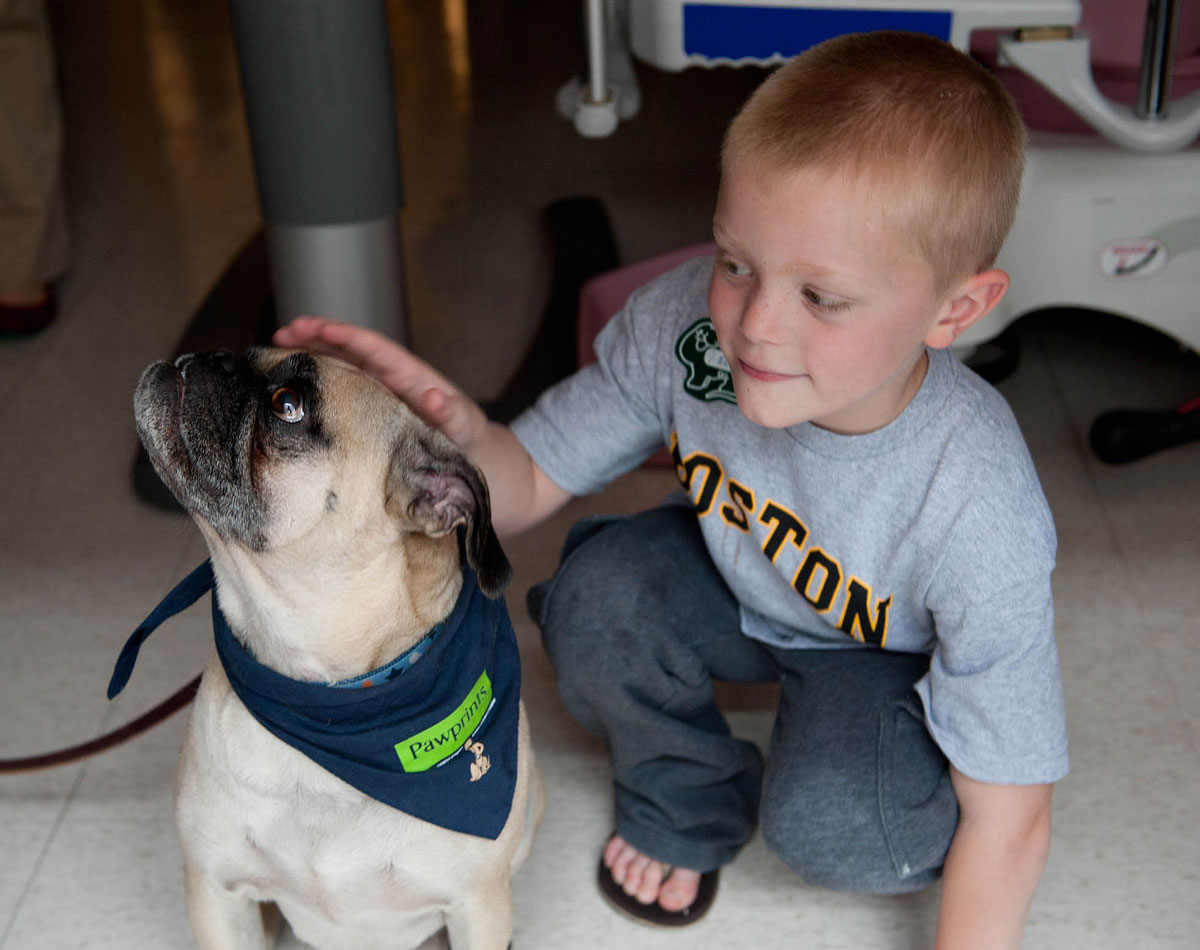 Pawprints dog Phil with Boston Children's Patient. All photos provided. 