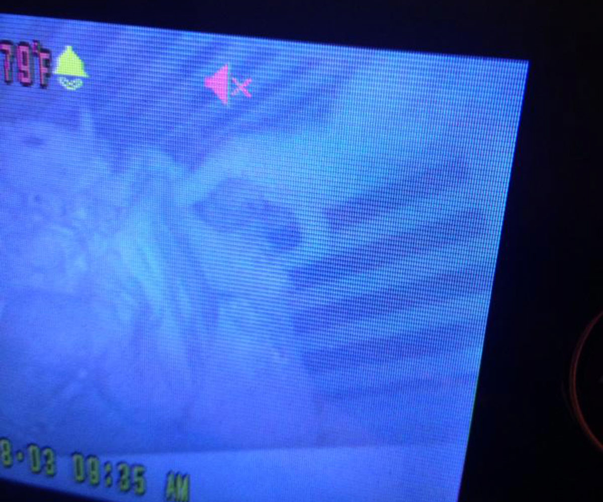That baby is doing a handstand in her crib. Photo via Sommer Sherrod.