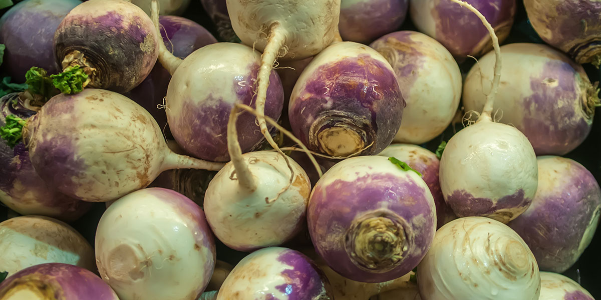 turnips image via shutterstock