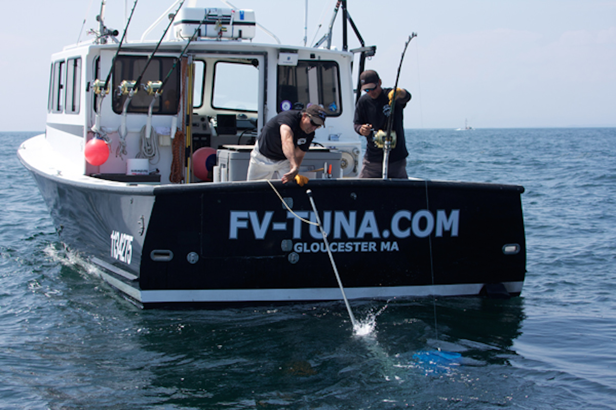 How Much is a Tuna Fishing Boat? 