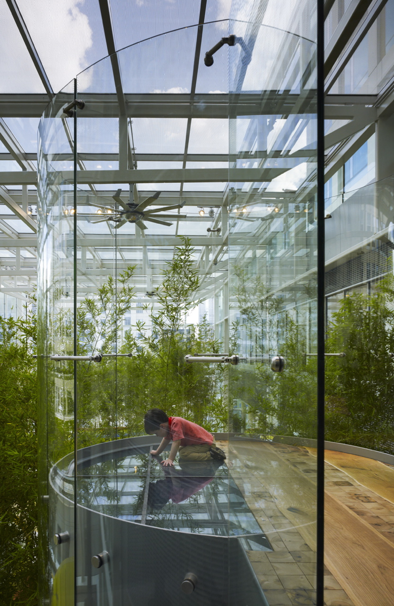 The outdoors come indoors at Crown Sky Garden at Lurie Children's Hospital in Chicago. Photo by Hedrich Blessing.