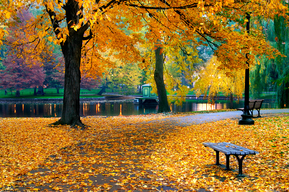 fall