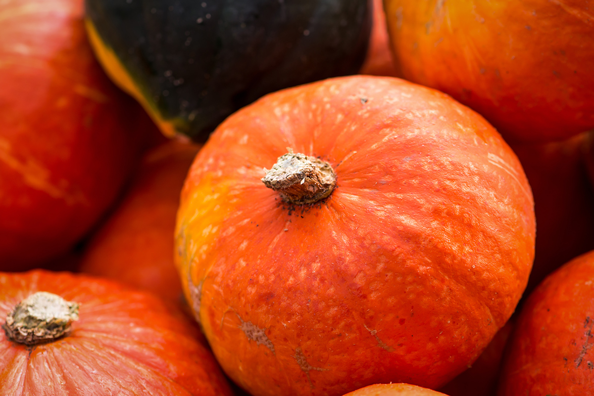 Pumpkin photo via Shutterstock