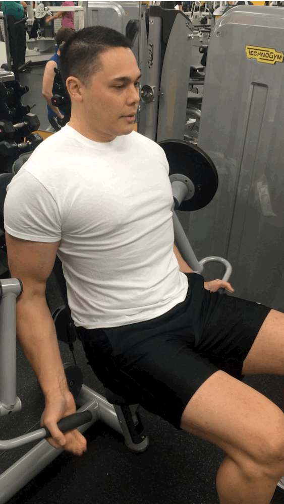seated arm curl