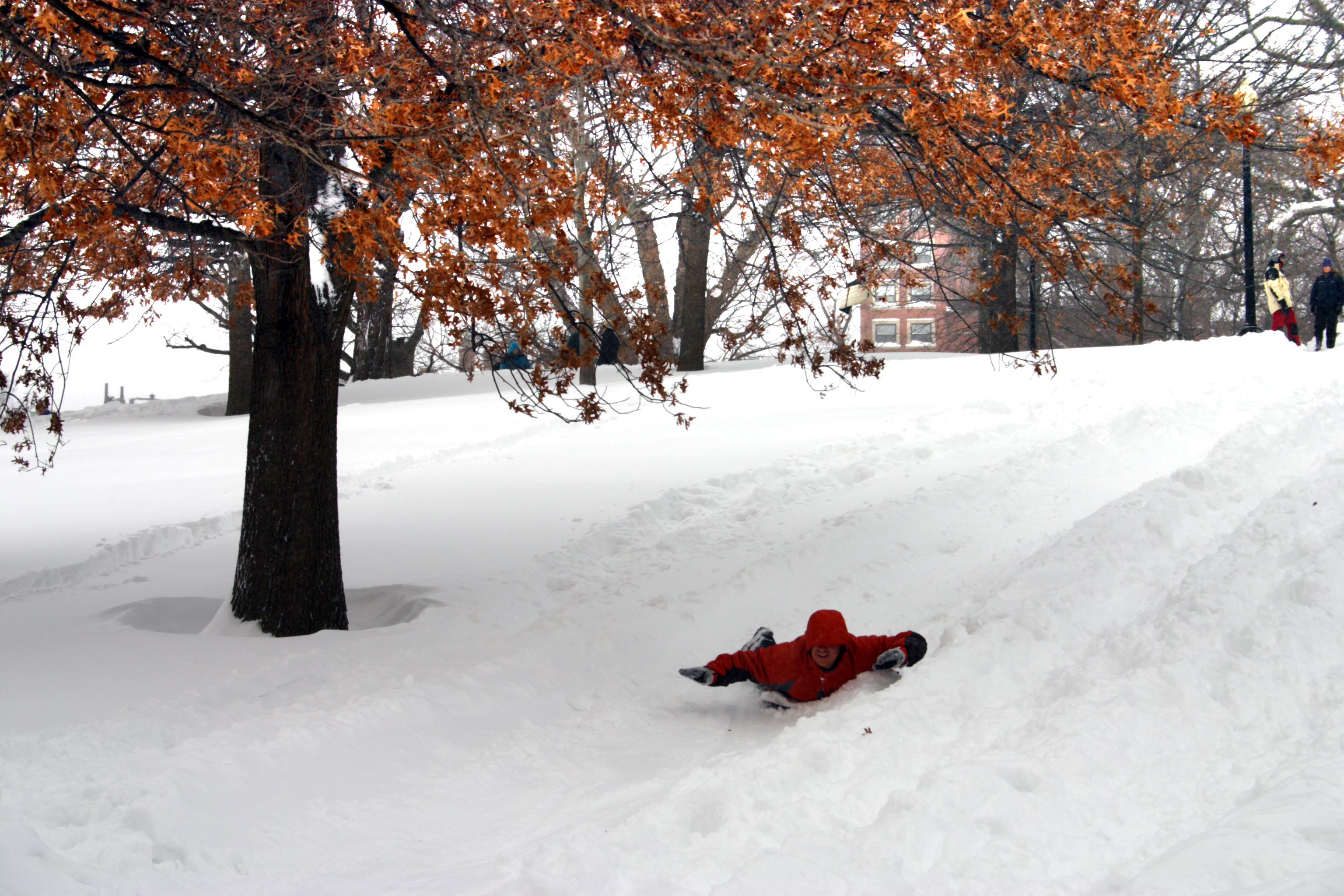 where to sled in boston