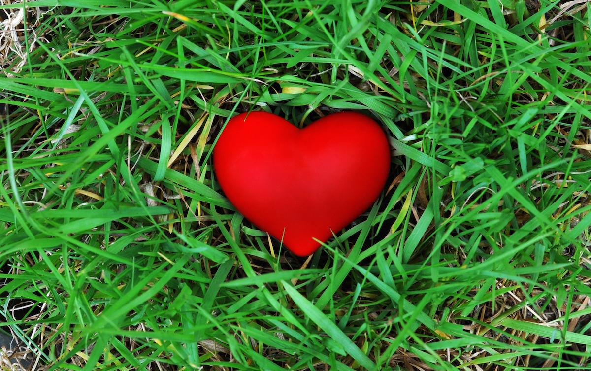 Red heart on the grass via Shutterstock