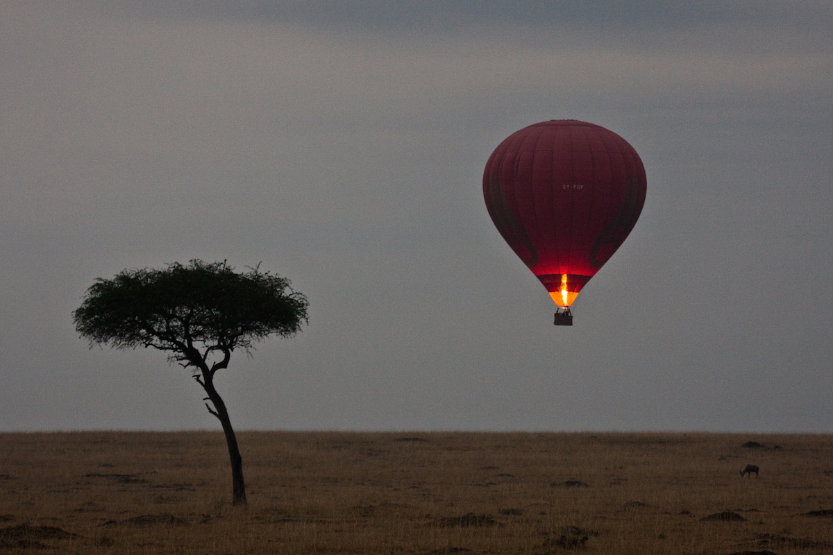 Hot Air Balloon over the Masai Mara, Kenya/Photograph by McRae Williams