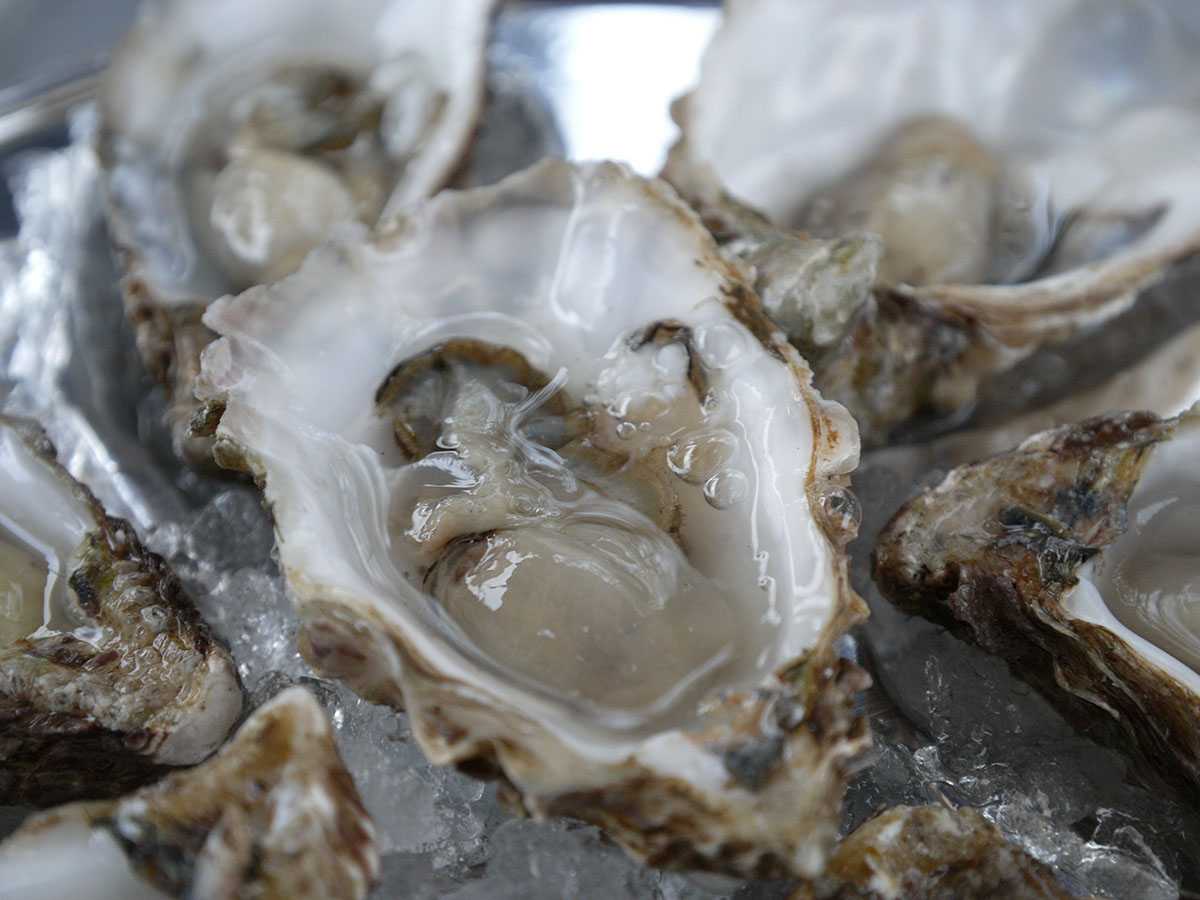 Dollar Oysters for National Oyster Day 2015