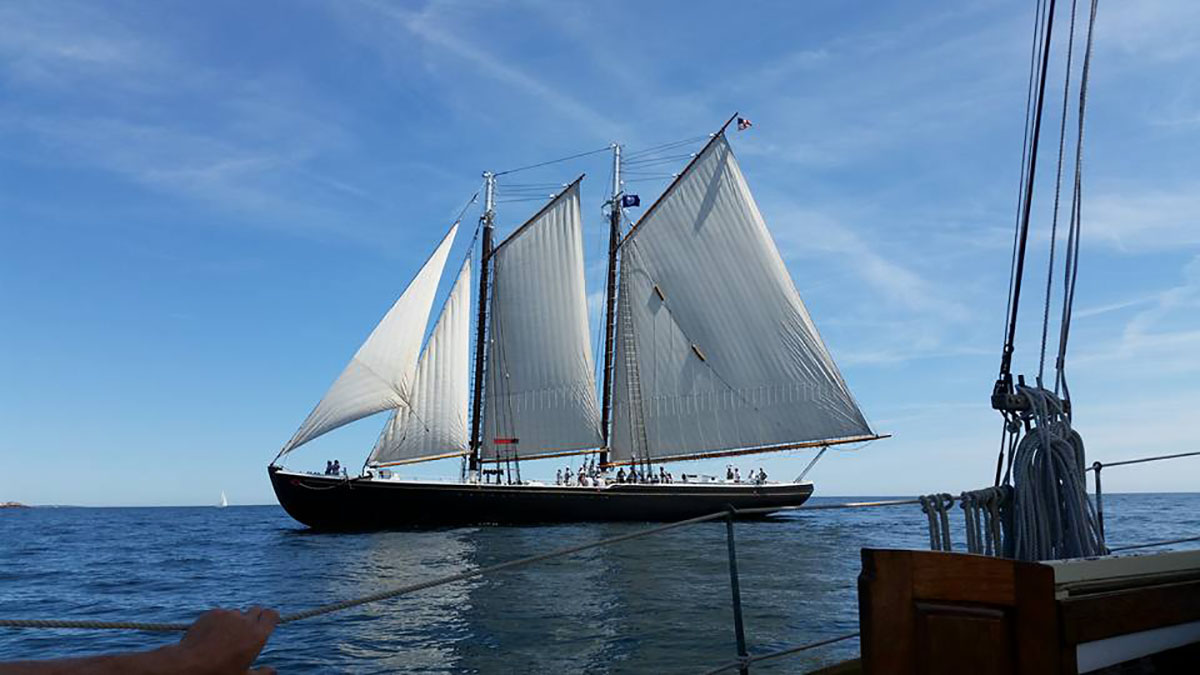 Maine Sail Freight