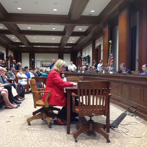 Senator Karen Spilka testifying