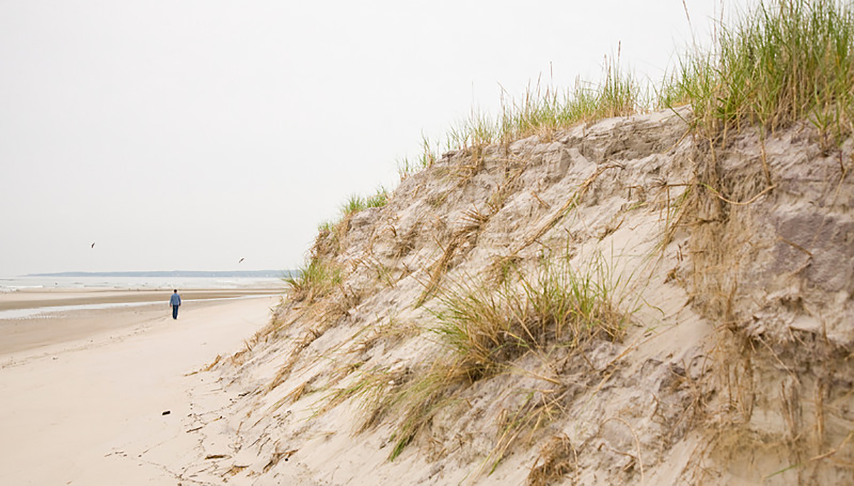 Crane Beach