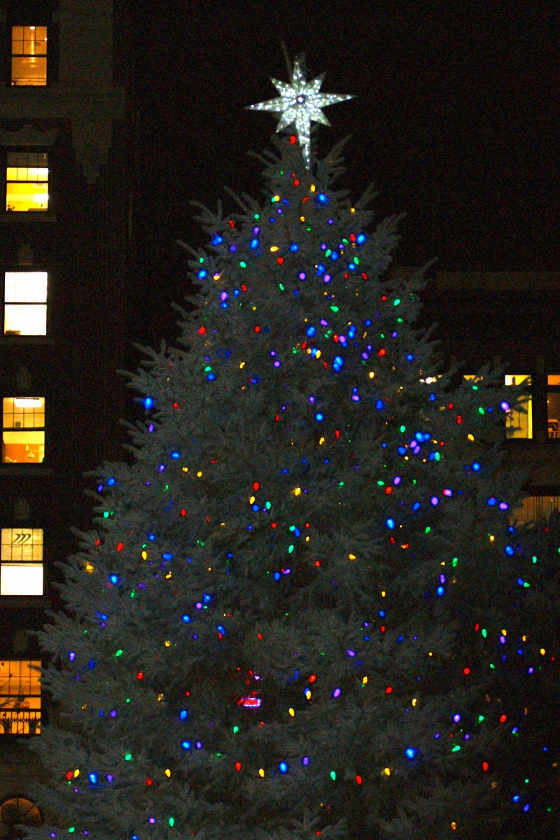 copley square tree lighting 2015