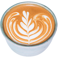 rosetta-latte-foam-design