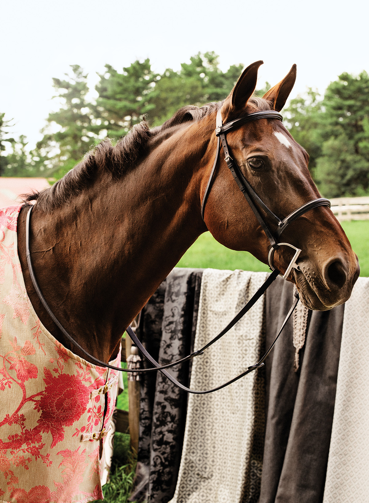 spring fabrics horses 2