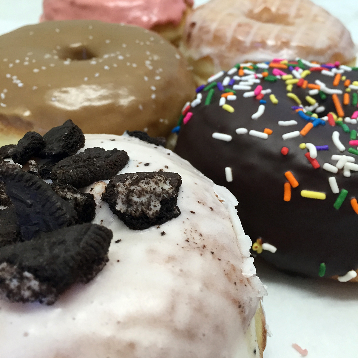 national doughnut day deals boston 2016