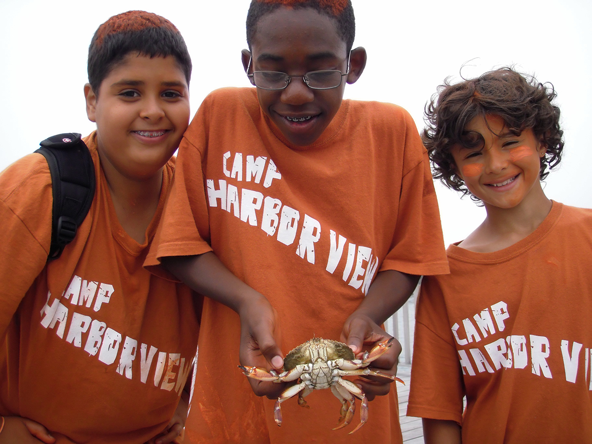 Camp Harbor View kids play with crab
