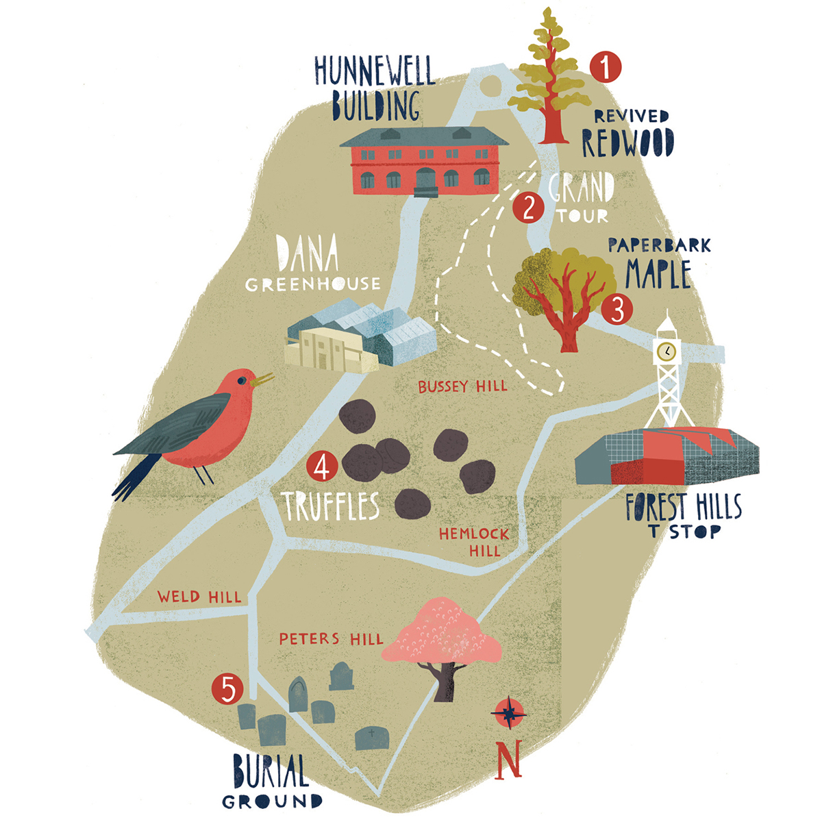 arnold arboretum map