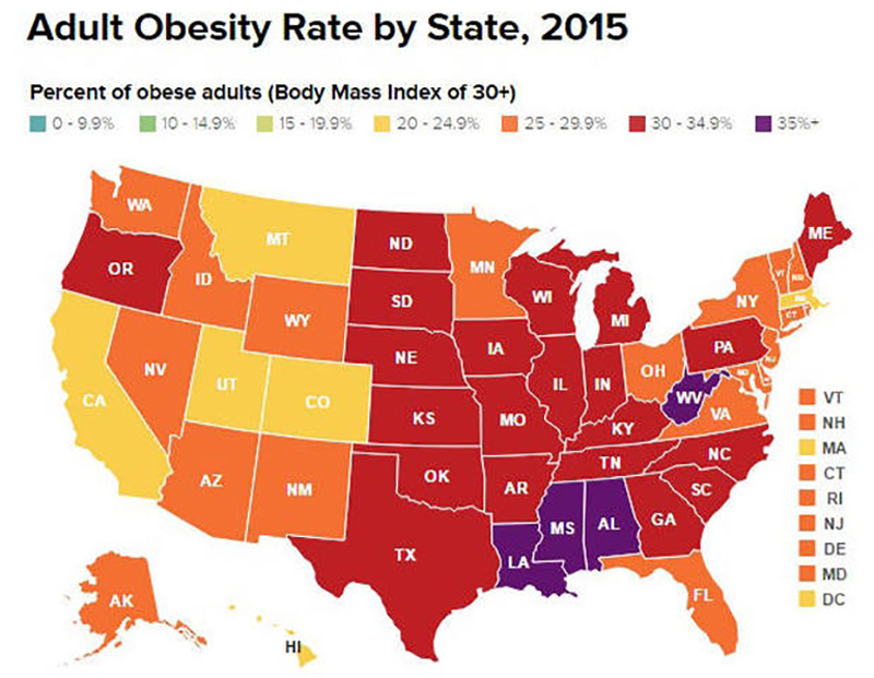 State of Obesity