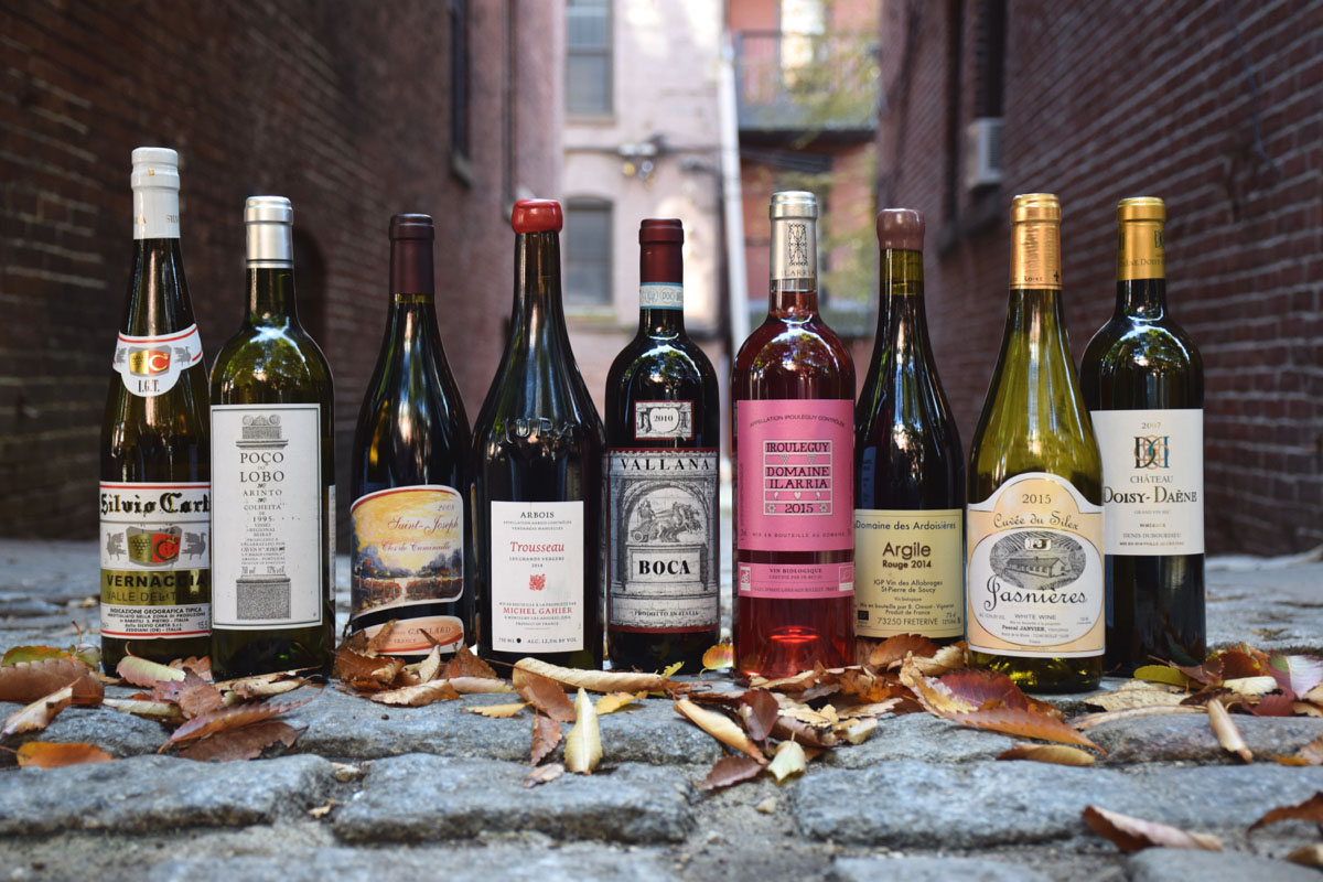 Fall wine selections from Asta, Craigie on Main, Coppa, Little Donkey, and Toro. / Photo by Lloyd Mallison