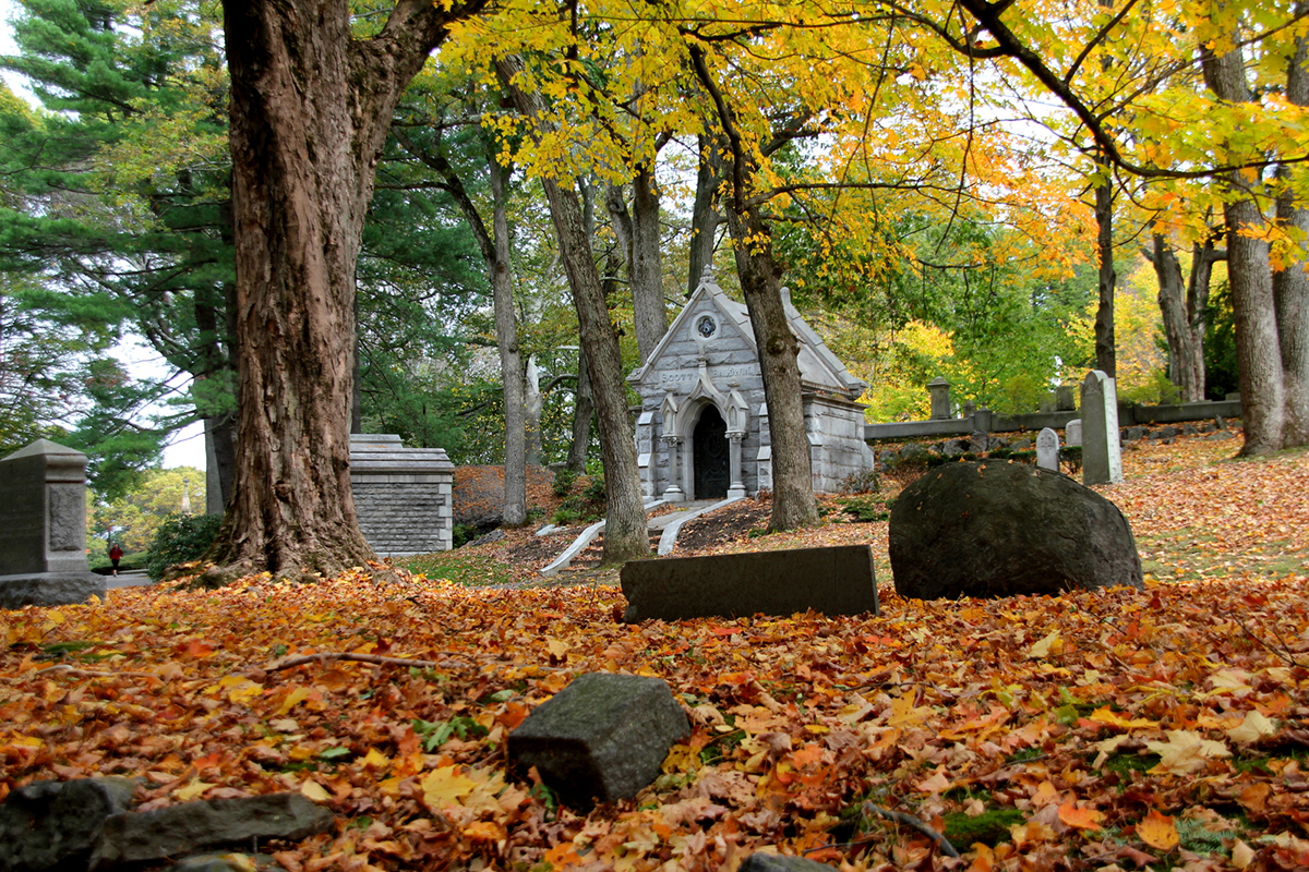 forest hills cemetery