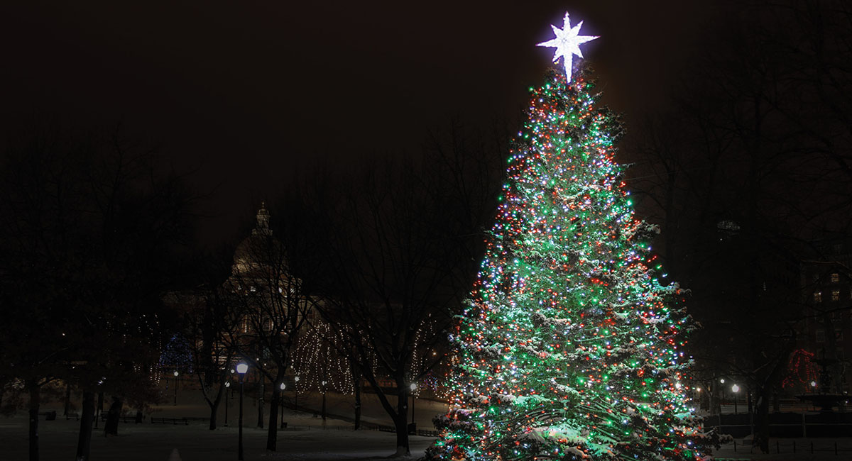 The Boston Common Christmas Tree, By The Numbers - Boston Magazine - The Boston Common Christmas Tree, By The Numbers - Boston Magazine