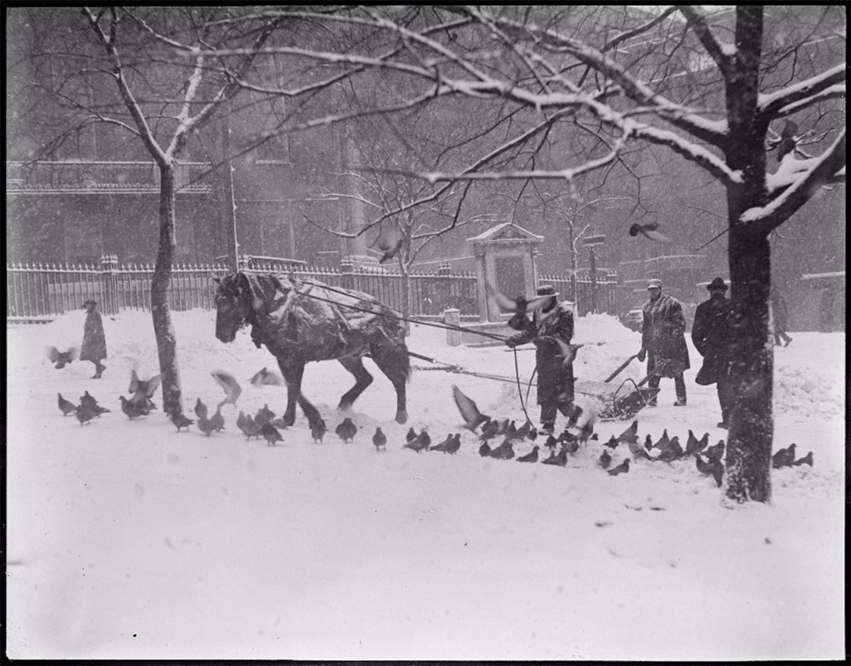 old photos boston blizzards
