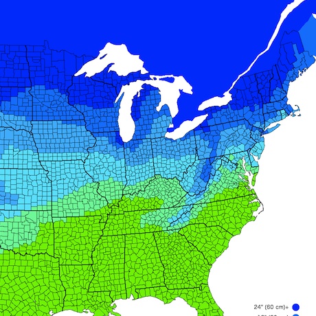 How Much Snow Before America Cancels School? - Boston Magazine