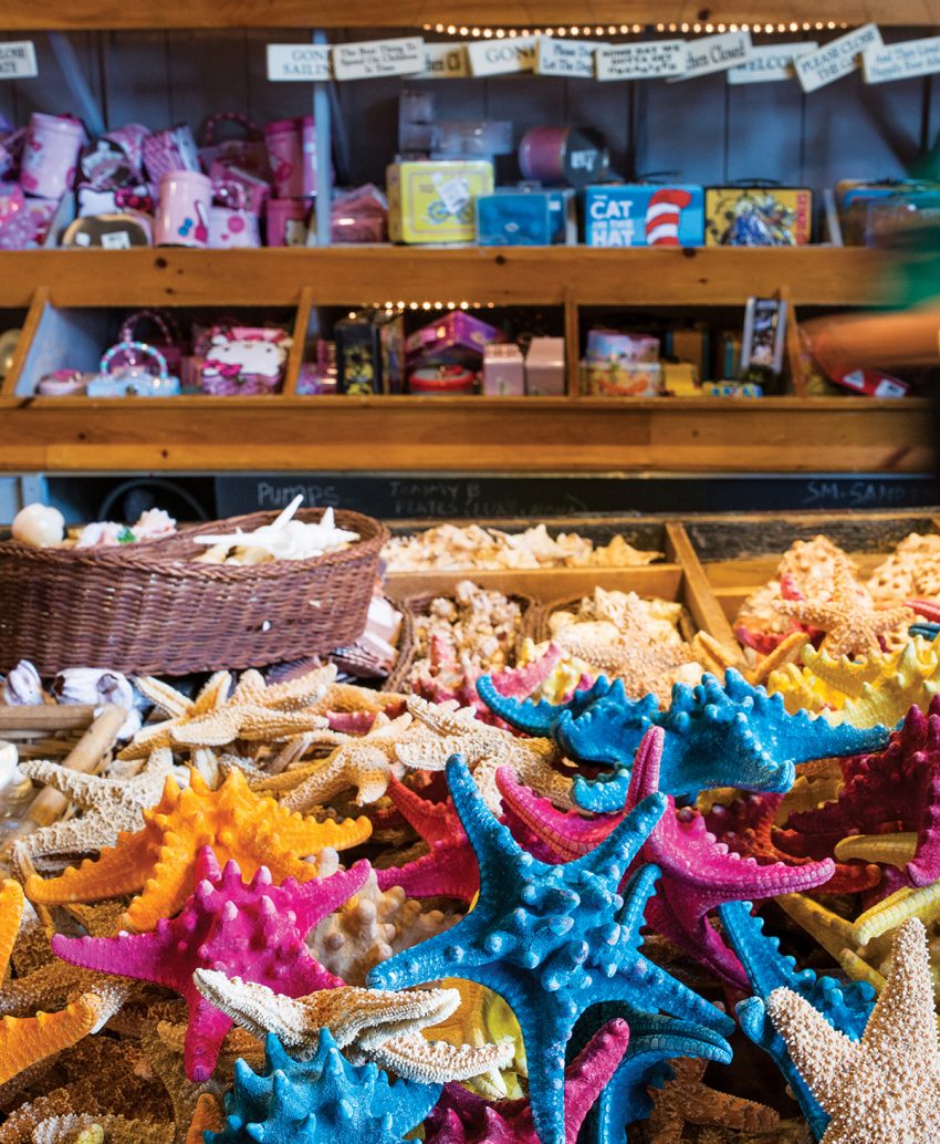 Where to Shop and Eat in Provincetown