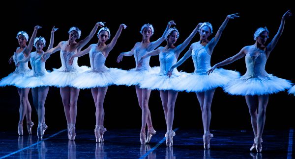 Photos from Boston Ballet's Swan Lake