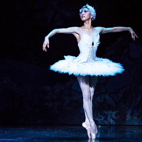 Photos from Boston Ballet's Swan Lake