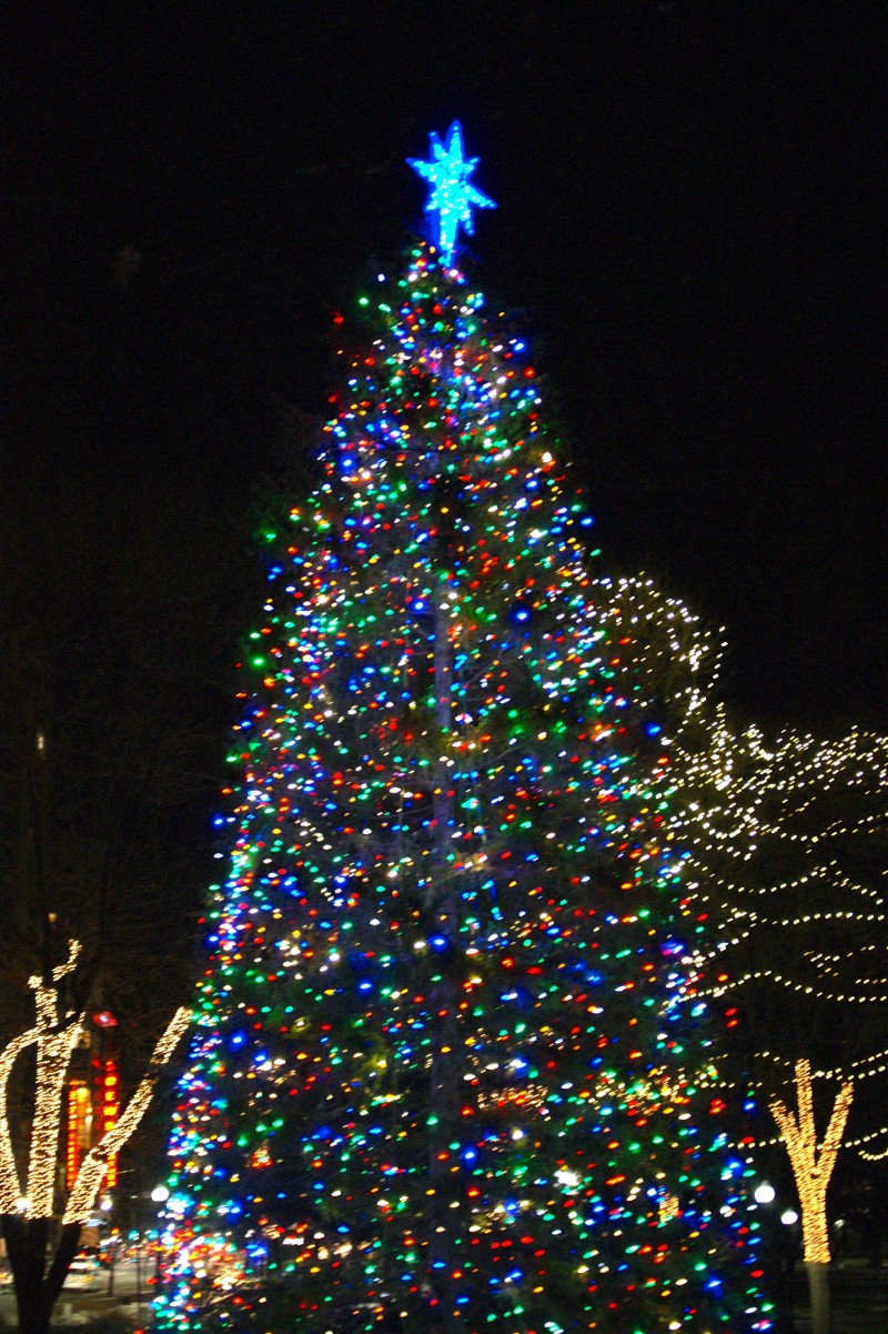 What You Missed at the Boston Common Tree Lighting