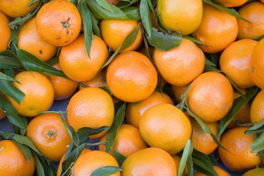 are clementines high in vitamin c